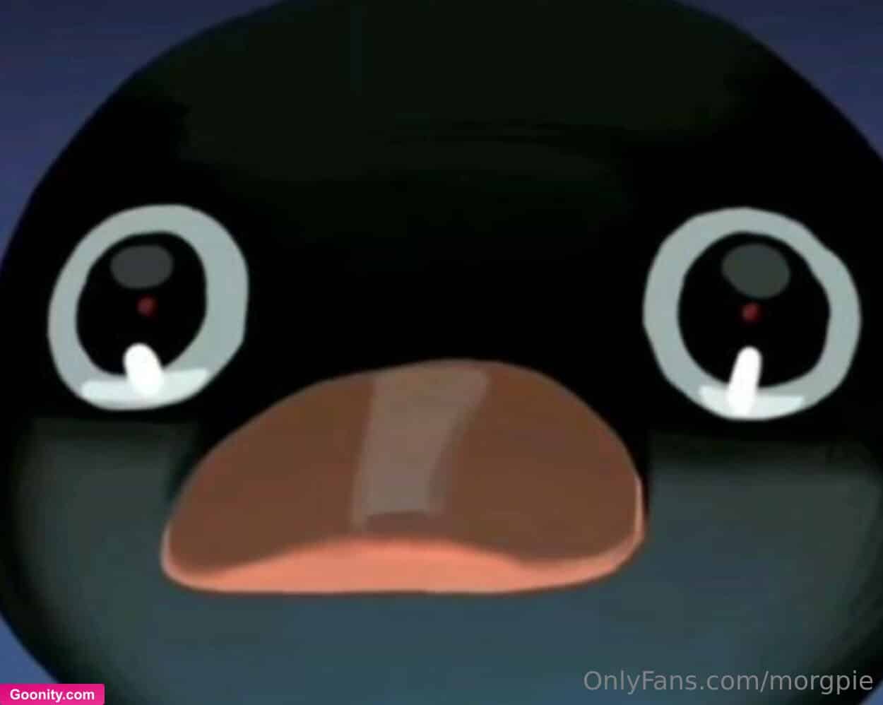 Morgpie 🧁 photo 10