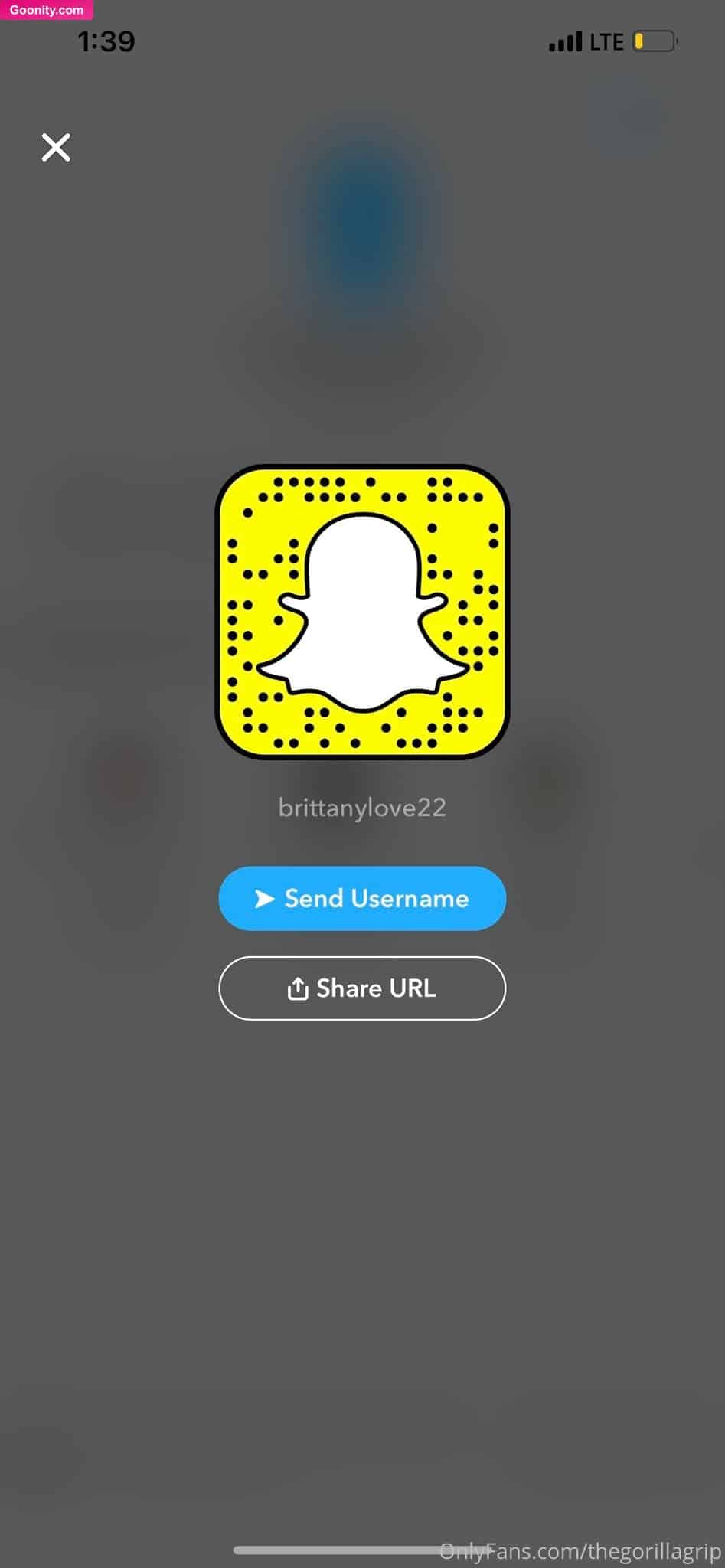 thegorillagrip image