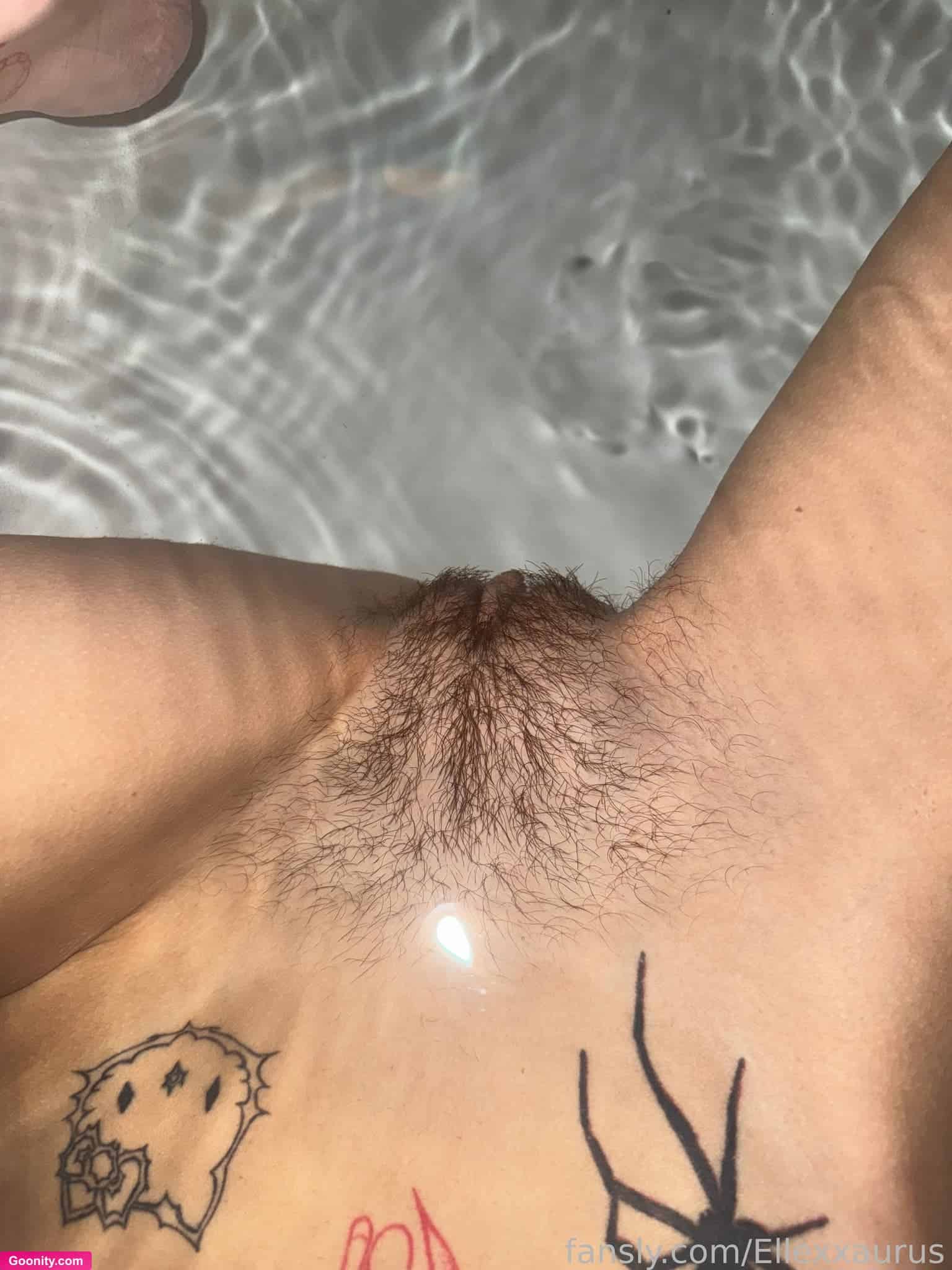 Ellexxaurus photo 30