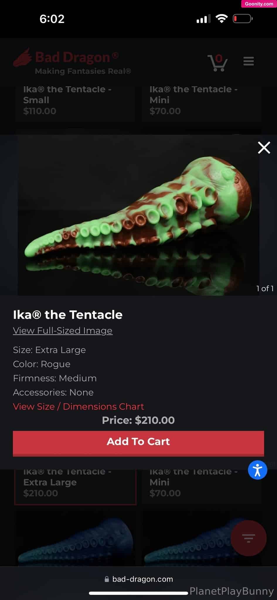 🌲 • 🐰 Bunny Boy 🐰 •🌲 HE/THEY photo 32