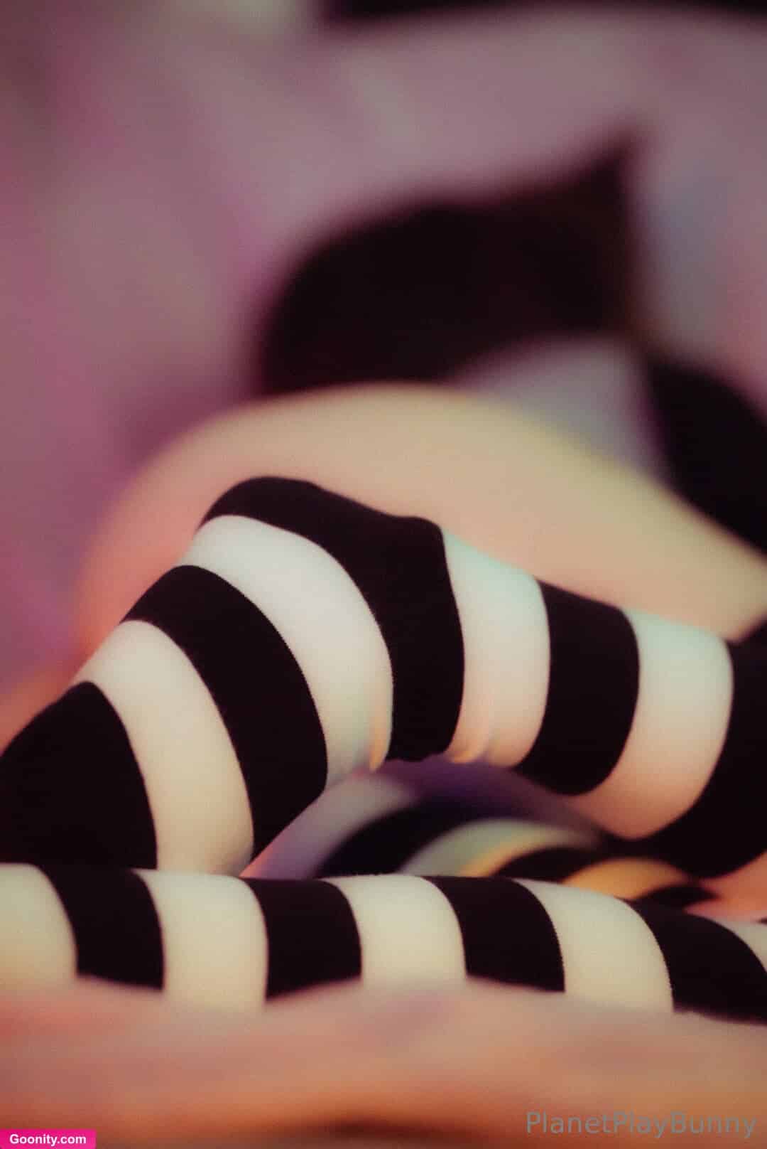 🌲 • 🐰 Bunny Boy 🐰 •🌲 HE/THEY photo 48