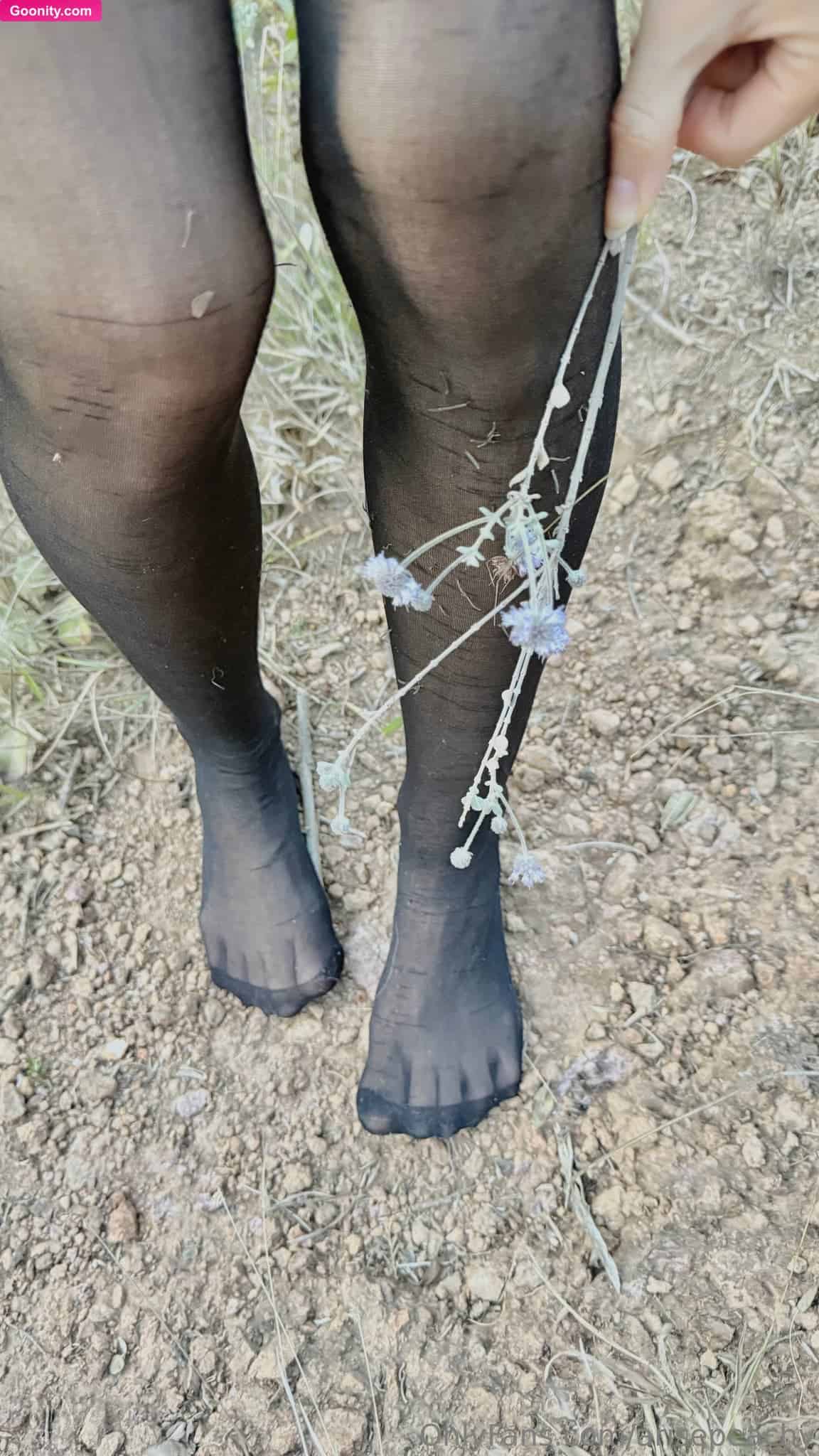 Arise Peachy 🍑 photo 29