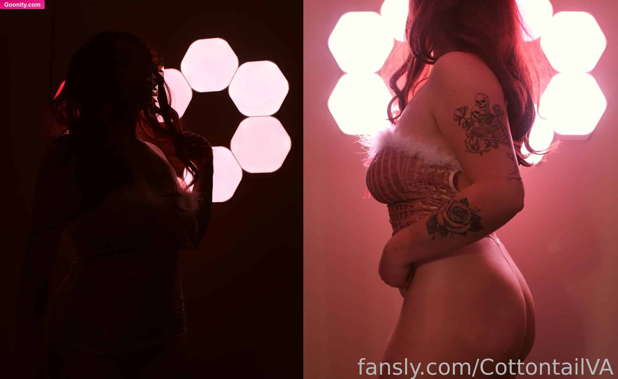 CottontailVA photo 26