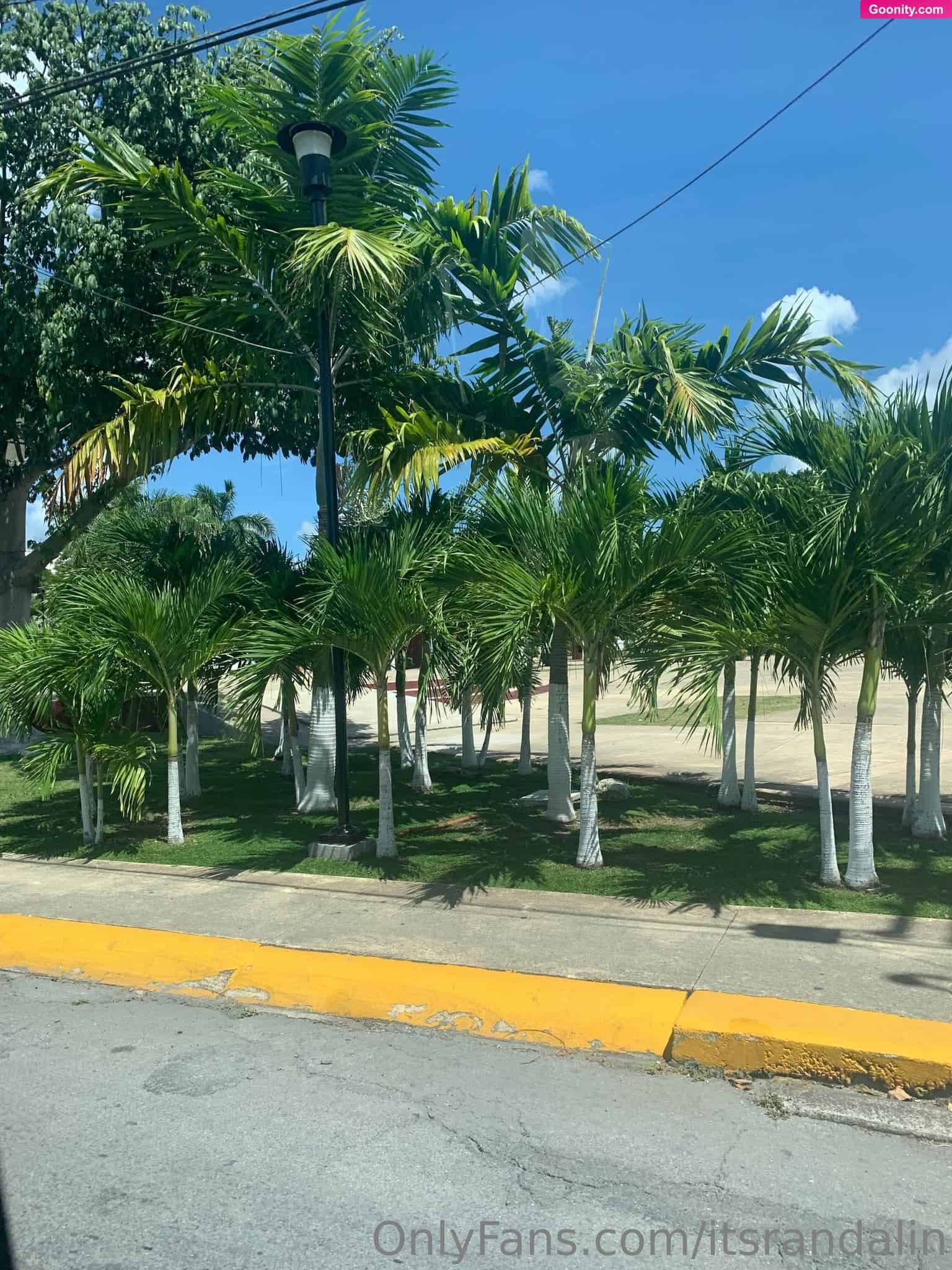 itsRandalin photo 21