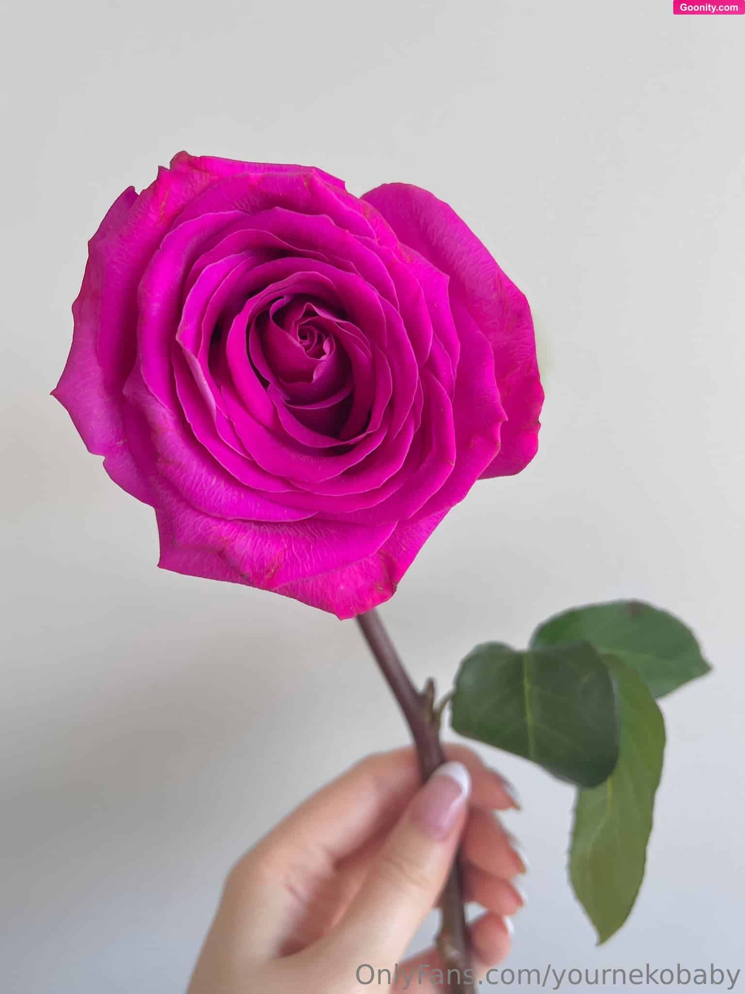 yournekobaby 🍭🌼💖 photo 73