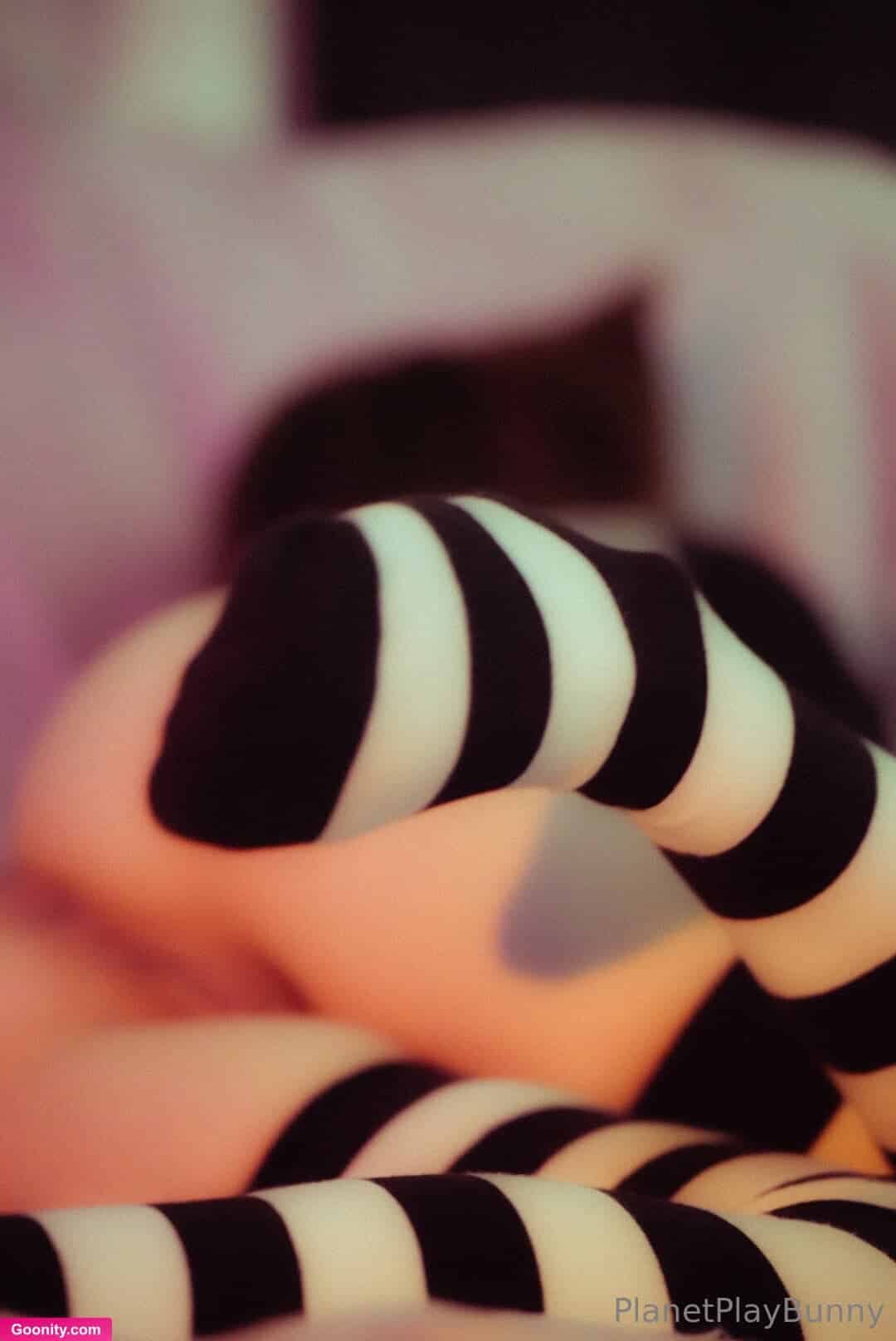 🌲 • 🐰 Bunny Boy 🐰 •🌲 HE/THEY photo 47