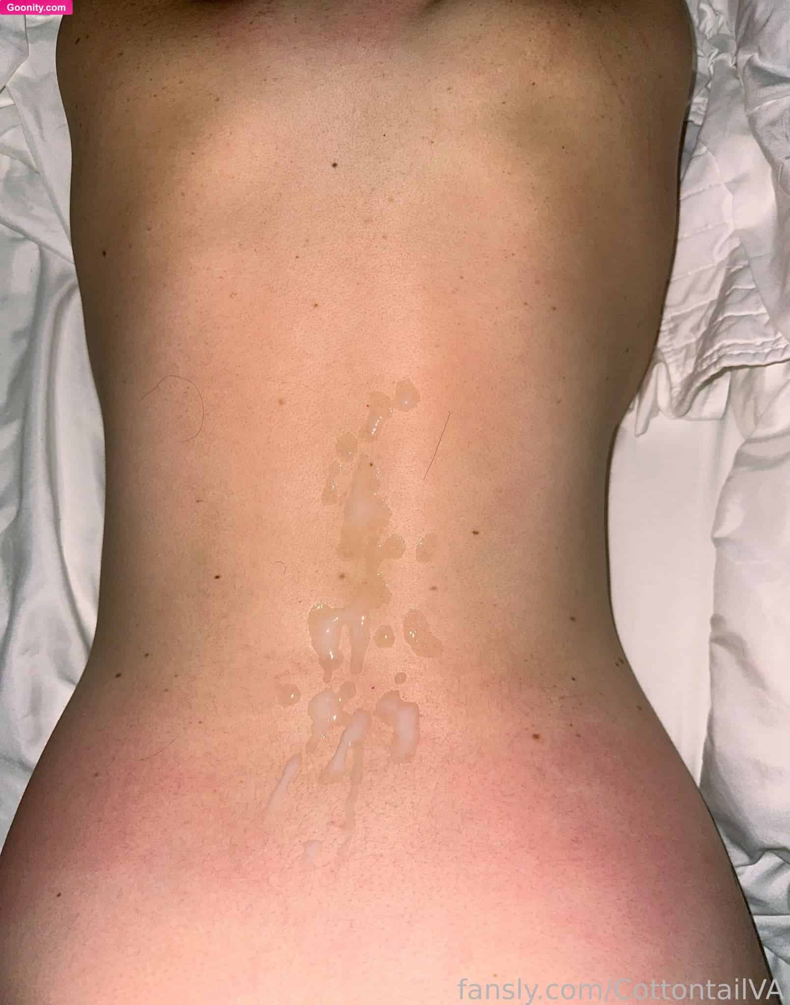 CottontailVA photo 65