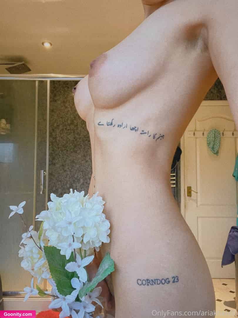 ariakhan00 - Photo 12