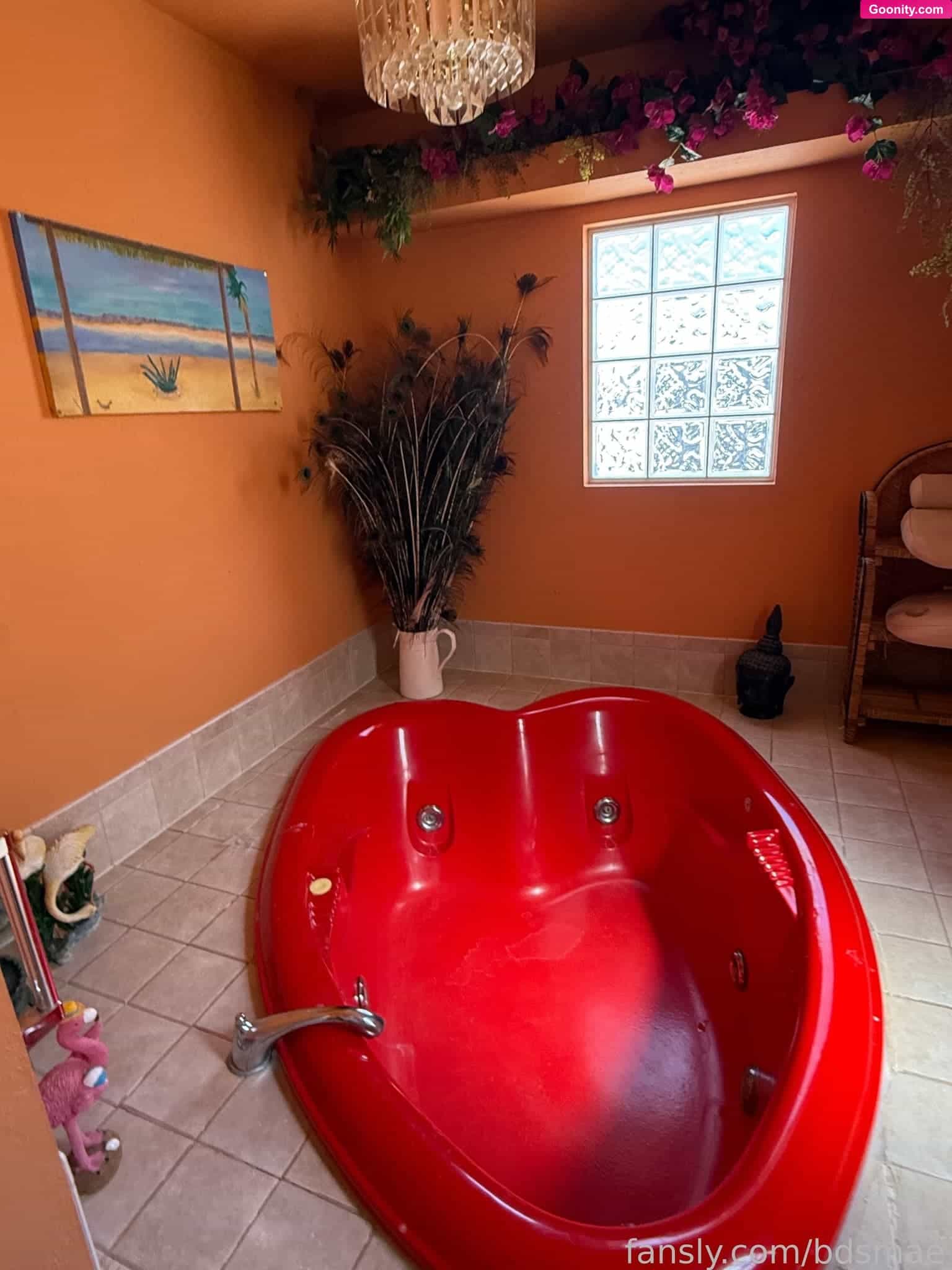 𝔅𝔇𝔖MAE photo 28