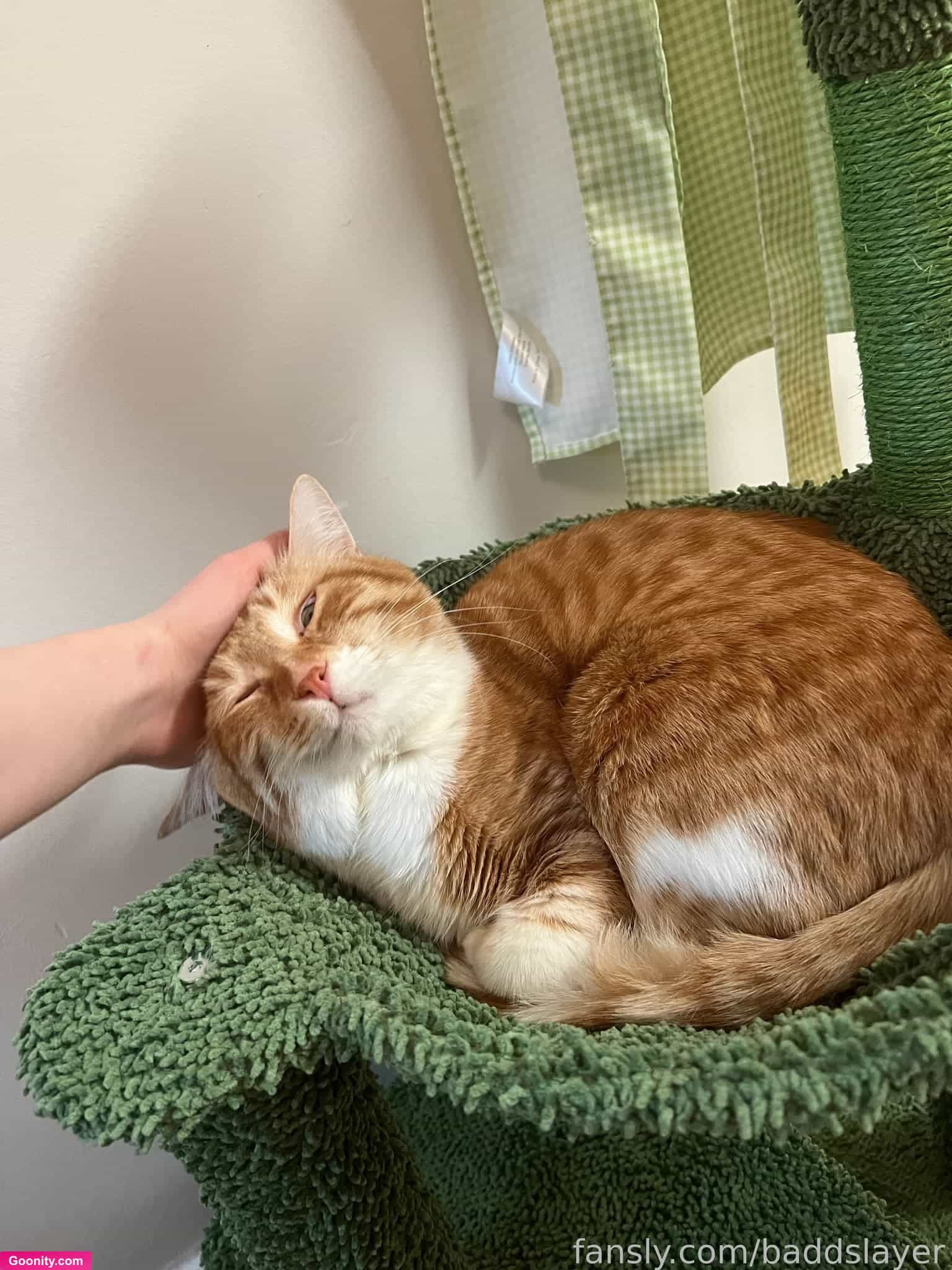 𝔅𝔇𝔖MAE photo 82