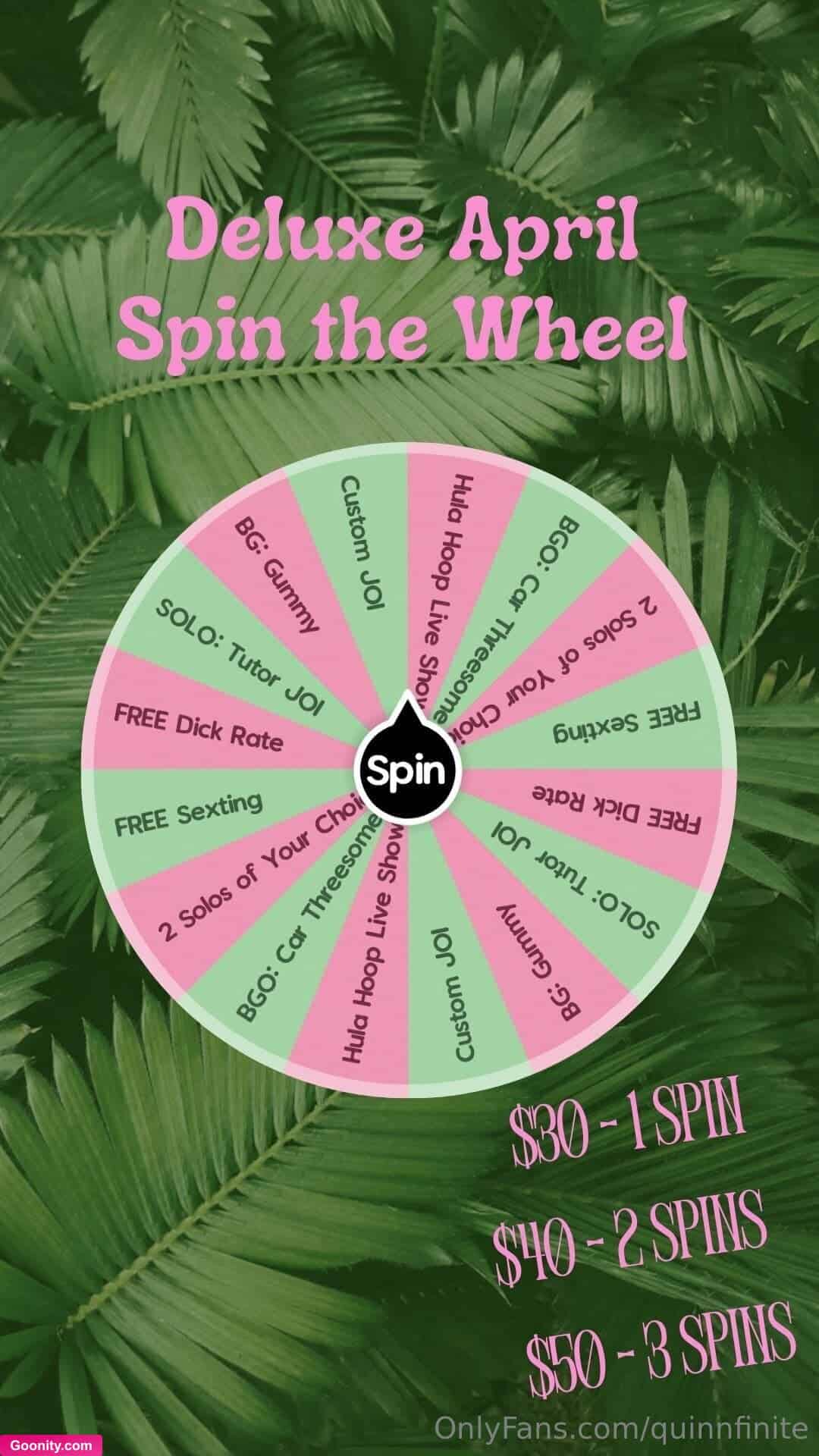 Quinn Finite photo 66