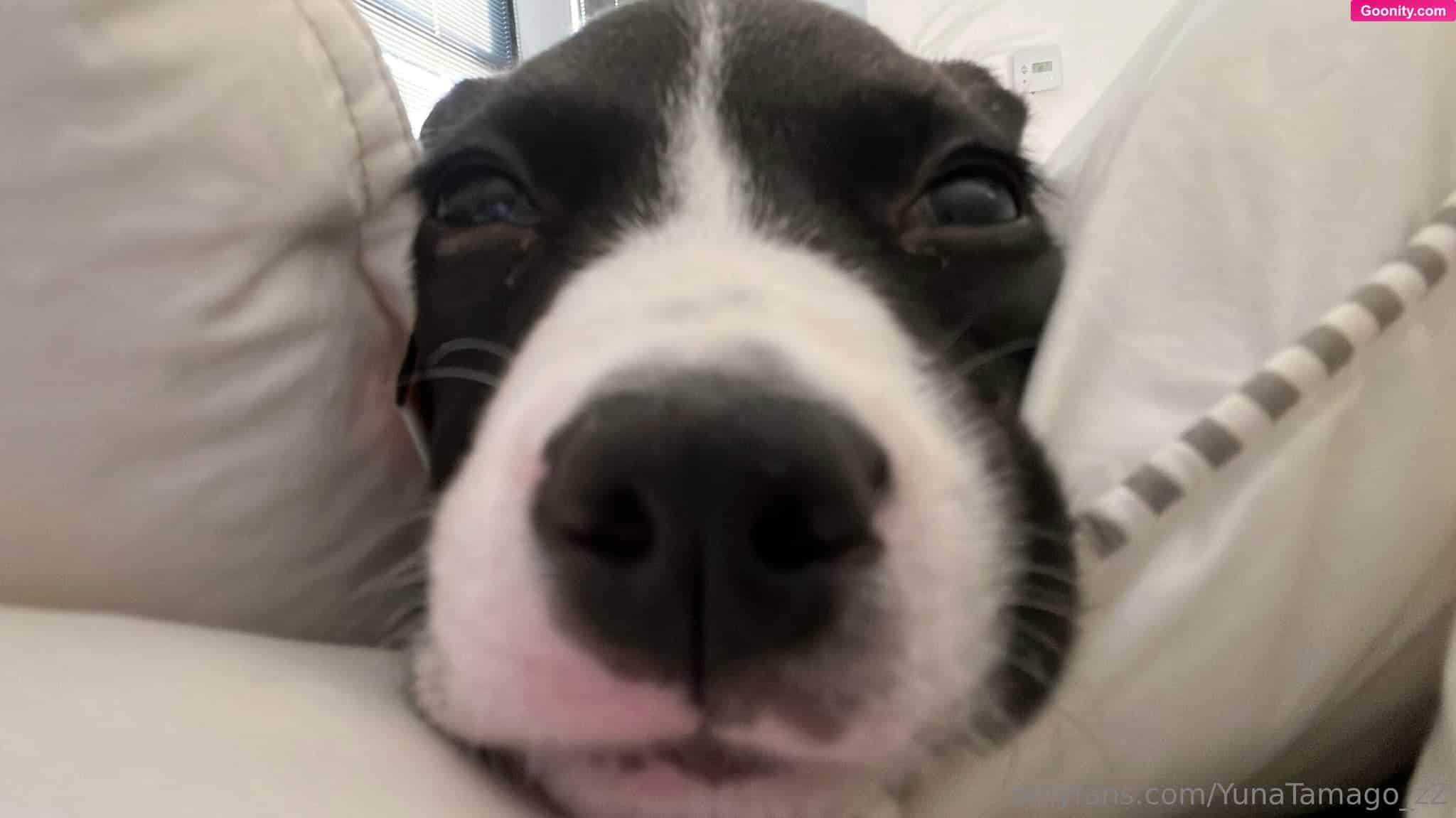 yunatamago_zz - Photo 9